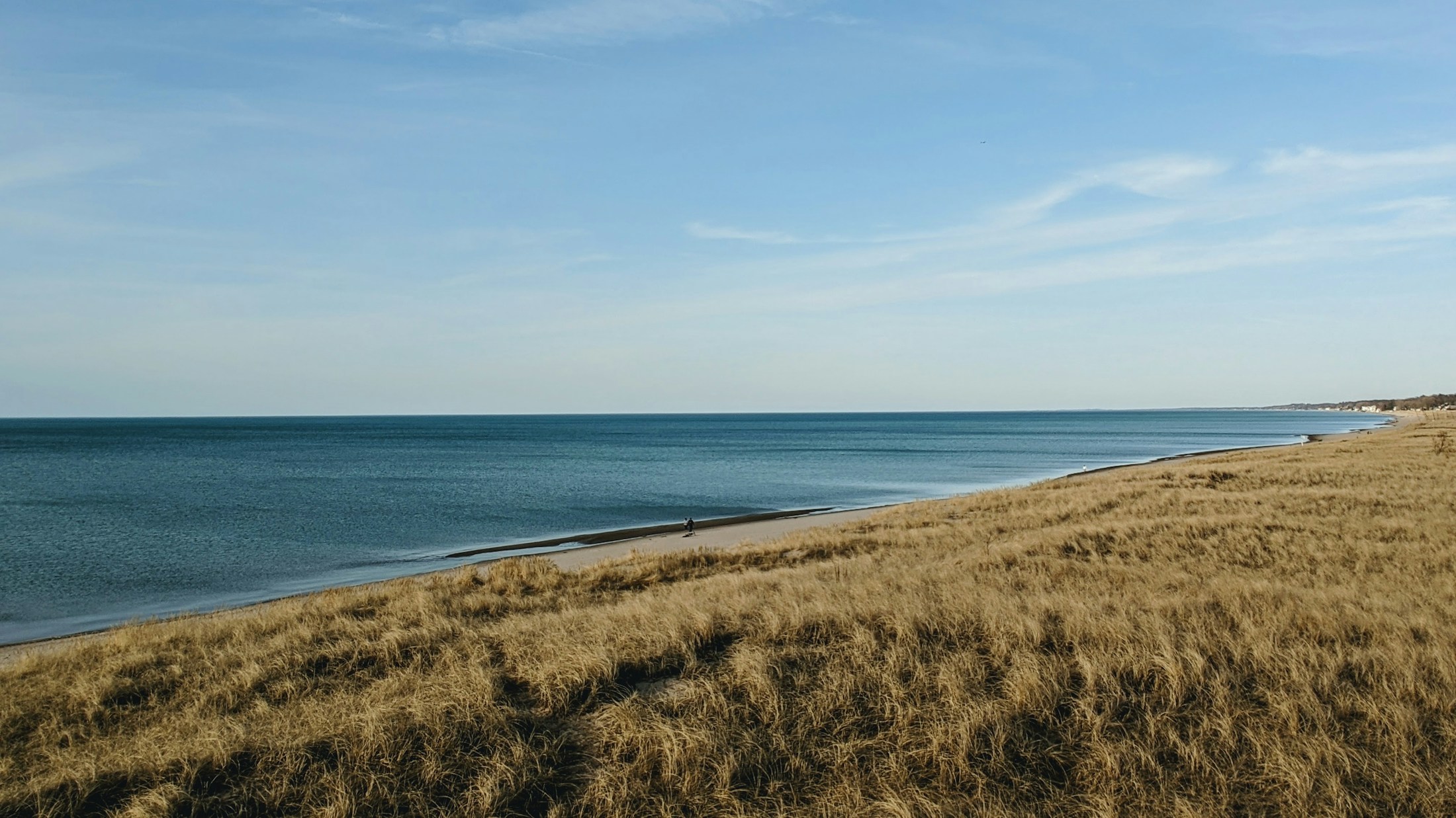 Lake Michigan shoreline and dune grass in Northwest Indiana